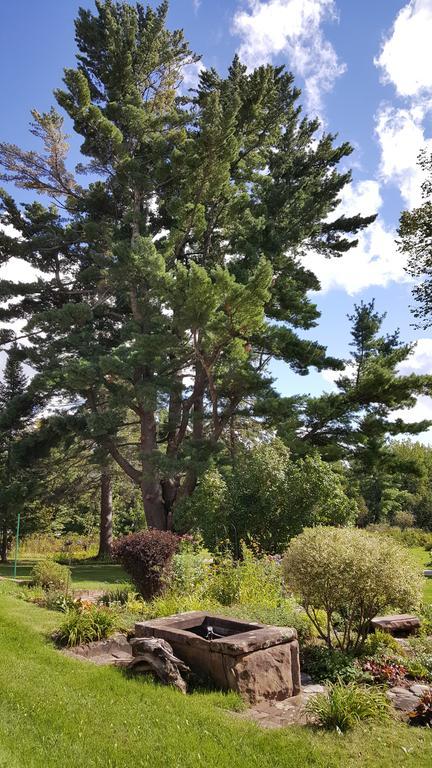 Pinehurst Inn Bed & Breakfast Bayfield Dış mekan fotoğraf