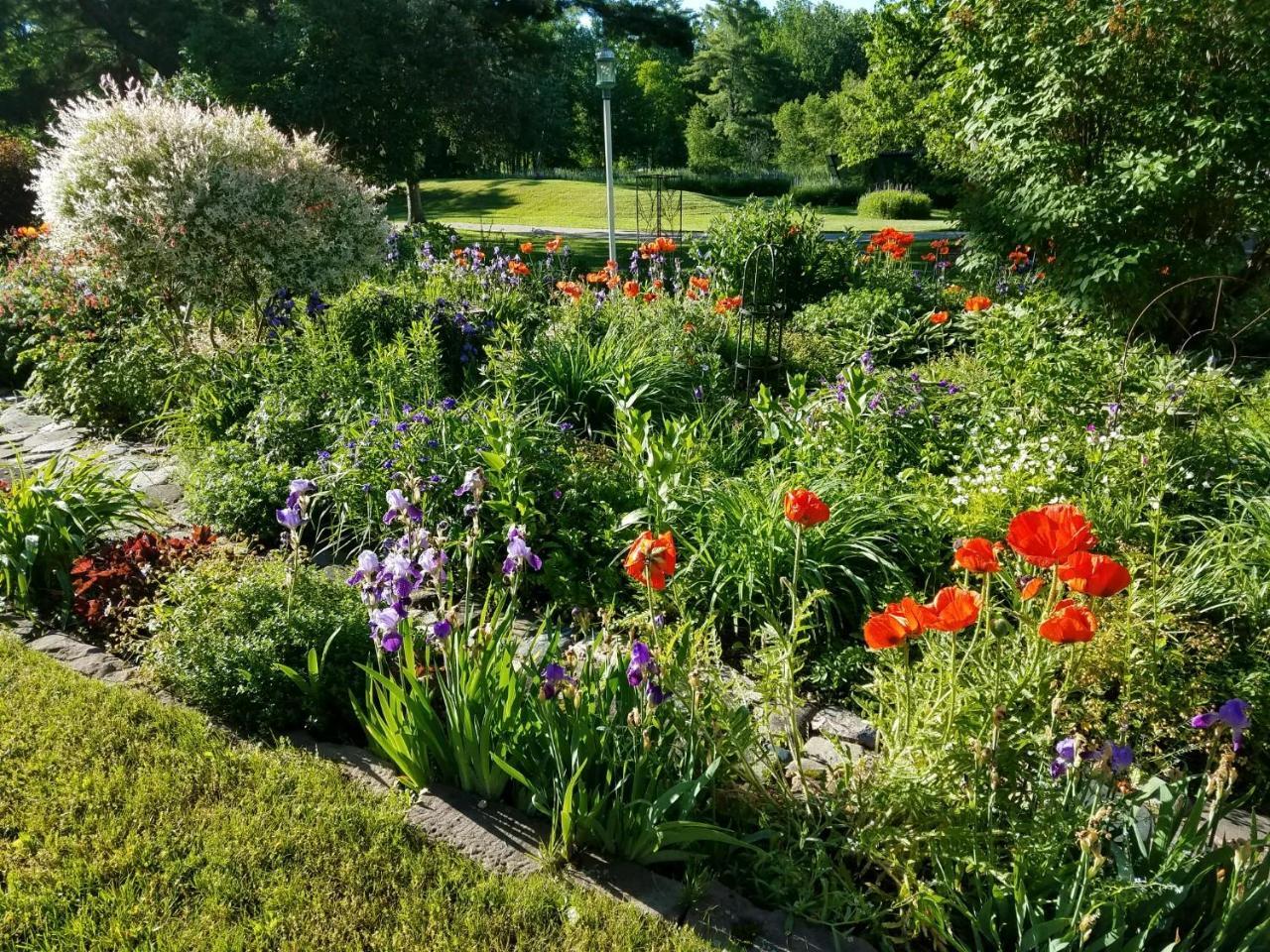 Pinehurst Inn Bed & Breakfast Bayfield Dış mekan fotoğraf